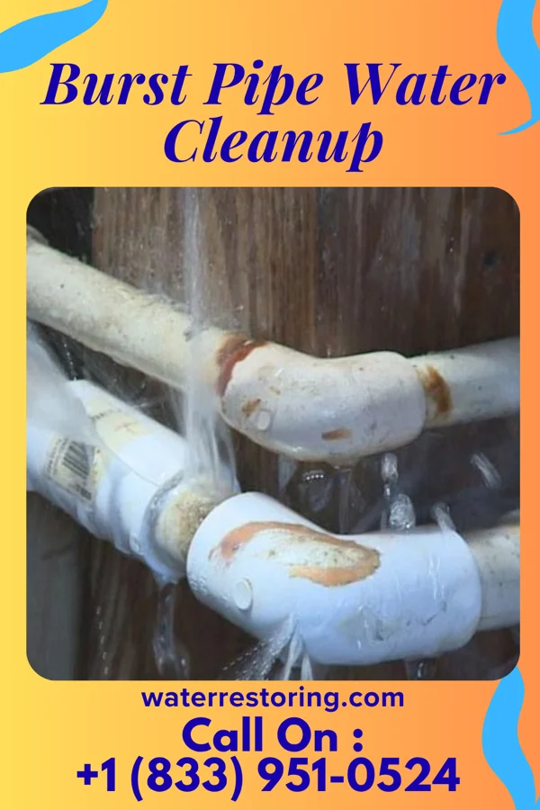 Burst Pipe Water Cleanup in Ware Shoals, SC