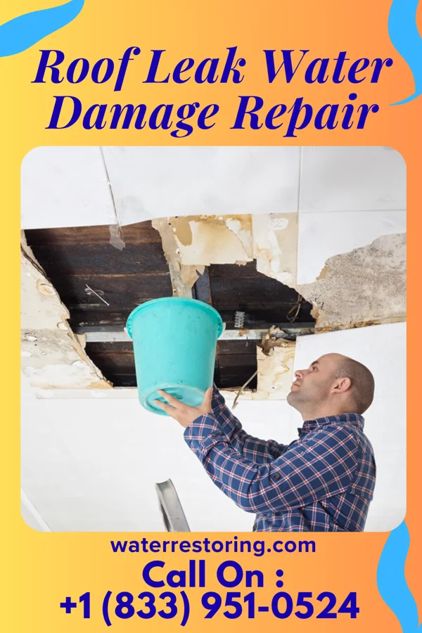 Roof Leak Water Damage Repair in Ware Shoals, SC