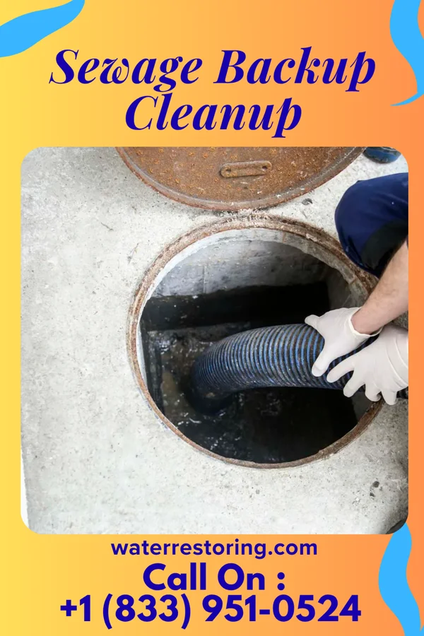 Sewage Backup Cleanup in Ware Shoals, SC
